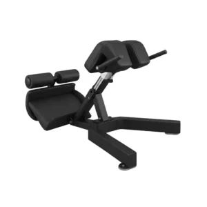 BACK EXTENSION PW-1035