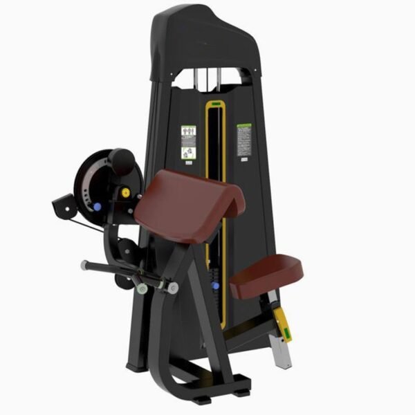 Biceps y triceps PW-1062
